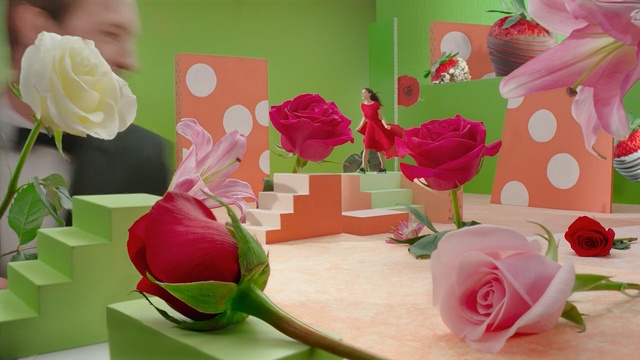 Video Reference N2: flower, pink, floristry, flower arranging, cut flowers, petal, floral design, rose family, rose order, flowering plant