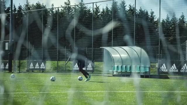 Video Reference N1: green, grass, water, plant, net, structure, tree, player, lawn, sport venue, Person