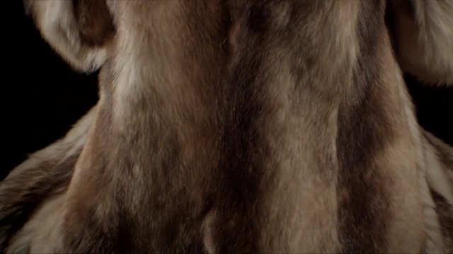 Video Reference N2: fur, fur clothing, textile, snout, neck, material