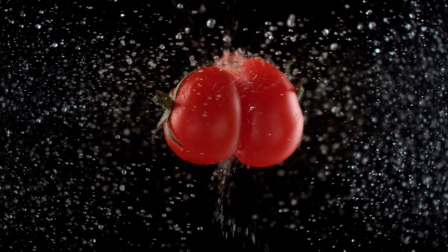 Video Reference N0: Water, Red, Fruit, Organism, Close-up, Plant, Drop, Macro photography, Tomato, Space