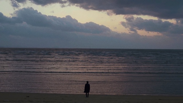 Video Reference N1: sea, horizon, sky, ocean, body of water, shore, cloud, water, calm, wave, Person