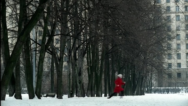 Video Reference N4: running, snow, winter, tree, nature, woody plant, freezing, forest, frost, woodland, branch, Person