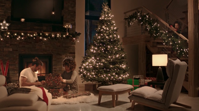 Video Reference N1: Christmas tree, Christmas, Christmas decoration, Tree, Christmas lights, Christmas ornament, Room, Property, Christmas eve, Home, Person