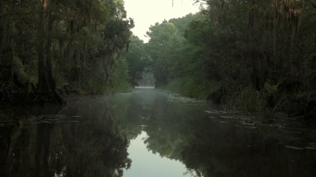 Video Reference N1: Body of water, Nature, Waterway, River, Natural environment, Bank, Atmospheric phenomenon, Reflection, Natural landscape, Bayou