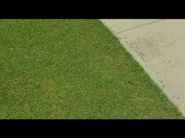 Video Reference N2: Green, Lawn, Grass, Artificial turf, Leaf, Grass family, Plant, Line, Flooring, Sport venue