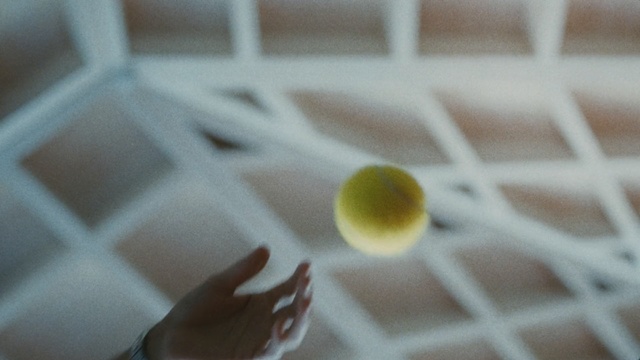 Video Reference N1: hand, ball, tennis