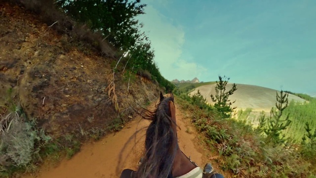 Video Reference N0: Dirt road, Trail, Road, Geological phenomenon, Infrastructure, Tree, Thoroughfare, Grass, Soil, Path