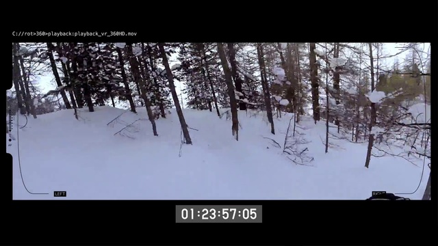 Video Reference N7: Snow, Nature, Winter, Tree, Freezing, Geological phenomenon, Photography, Wildlife, Adaptation, Plant
