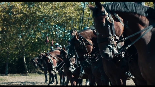 Video Reference N7: Horse, Horse harness, Bridle, Pack animal, Army, Soldier, Horse tack, Gun, Uniform, Rein, Outdoor, Riding, Man, Brown, Black, Standing, Field, Street, Group, Wearing, Large, People, Racing, Woman, Young, Bus, Tree, Animal, Mammal, Text, Horse-drawn vehicle, Halter