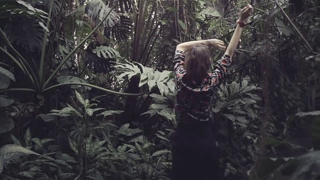 Video Reference N0: Jungle, Natural environment, Forest, Rainforest, Tree, Plant, Old-growth forest, Adaptation, Woodland, Valdivian temperate rain forest, Holding, Standing, Woman, Palm, Young, Front, Flower, Man, Girl, Cat, Phone, Playing, Room, Umbrella, Mammal