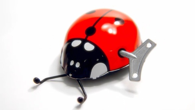 Video Reference N0: Ladybug, Insect, Beetle, Helmet, Wind-up toy, Invertebrate, Person