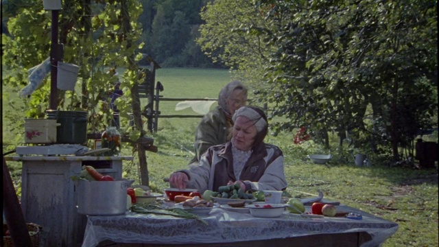 Video Reference N3: Recreation, Grass, Tree, Adaptation, Table, Picnic, Meal, Leisure, Garden, Lunch