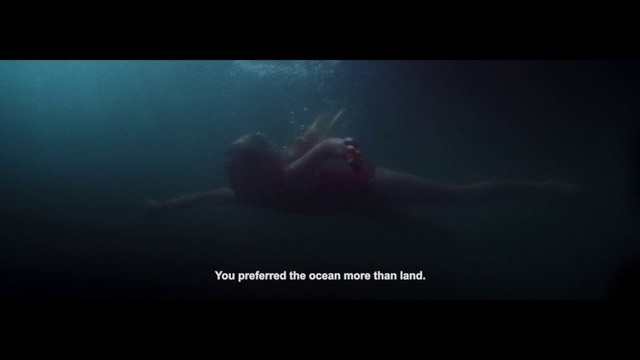 Video Reference N0: Underwater, Marine biology, Organism, Sea