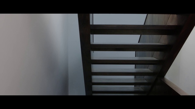 Video Reference N1: Stairs, Line, Architecture, Wood, Hardwood, Room, Daylighting, Handrail, Window, Floor