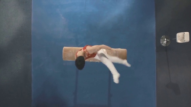 Video Reference N1: Artistic gymnastics, Gymnastics