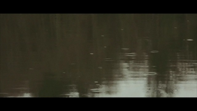 Video Reference N1: water, black, nature, reflection, atmosphere, rain, darkness, light, geological phenomenon, wood
