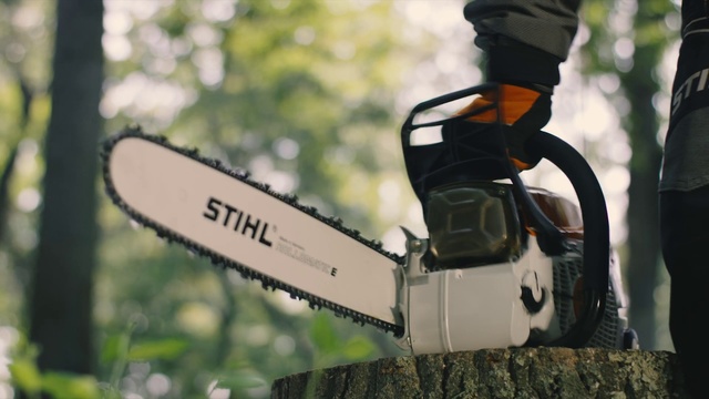 Video Reference N0: Chainsaw, Saw chain, Tree, Plant