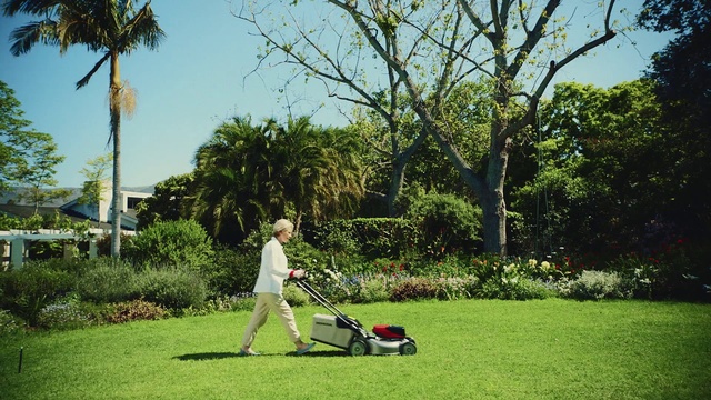 Video Reference N1: Lawn, Grass, Mower, Lawn mower, Green, Outdoor power equipment, Tree, Garden, Vehicle, Grass family