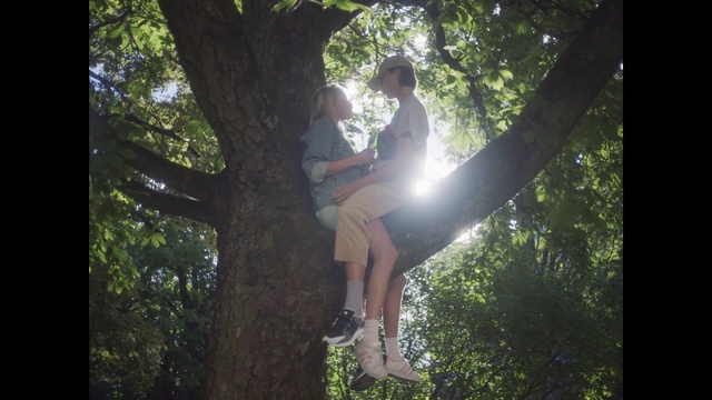 Video Reference N7: Tree, People in nature, Photograph, Nature, Branch, Sunlight, Natural environment, Jungle, Woodland, Forest