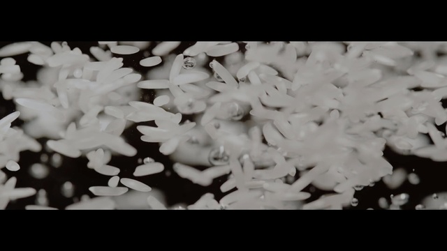 Video Reference N2: Rice, Steamed rice, White rice, Monochrome photography, Black-and-white, Jasmine rice, Organism, Monochrome, Food grain, Font, Indoor, Food, Photo, White, Black, Plate, Sitting, Tray, Cutting, Cheese, Large, Dog, Table, Close, Broccoli, Board, Cake, Hot, Toppings, Cut, Covered, Holding, Laying, Flower, Black and white