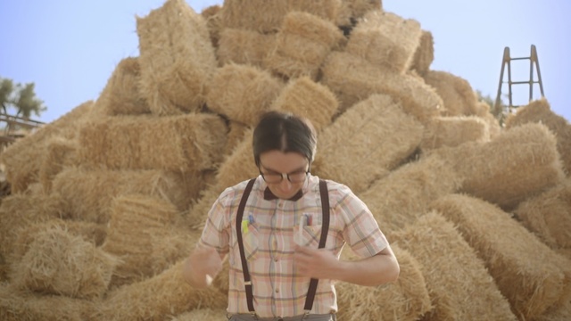 Video Reference N2: hay, straw, grass family, sky, agriculture, commodity, field, harvest, Person
