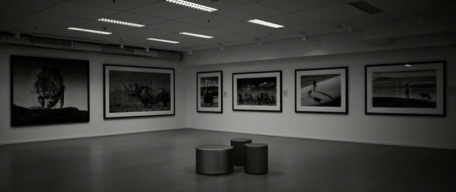 Video Reference N3: Art gallery, Black-and-white, Museum, Art exhibition, Tourist attraction, Exhibition, Art, Building, Room, Visual arts, Person