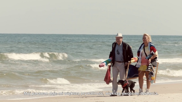 Video Reference N23: Beach, Shore, Coast, Sea, Vacation, Tourism, Ocean, Sand, Dog walking, Canidae, Person