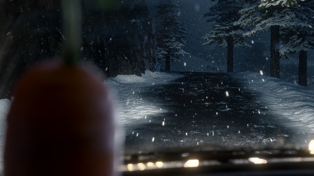 Video Reference N9: water, darkness, tree, snow, atmosphere, freezing, night, rain, winter, screenshot