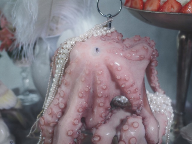 Video Reference N0: Octopus, Pink, giant pacific octopus, Cephalopod, Flesh, octopus, Organism, Peach, Marine invertebrates, Hand