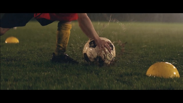 Video Reference N3: Ball, Football, Soccer ball, Grass, Photography, Football player, Tortoise
