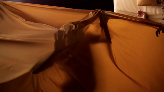 Video Reference N1: Brown, Room, Textile, Shadow, Table, Tints and shades, Linens, Bed sheet