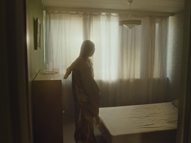 Video Reference N2: Light, Room, Standing, Window, Curtain, Dress, Sunlight, Textile, Interior design, Reflection
