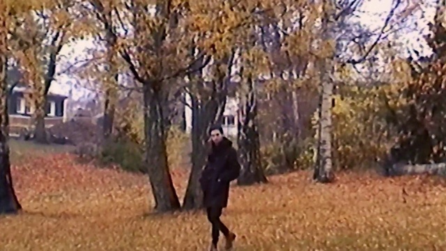 Video Reference N0: Tree, Leaf, Woody plant, Autumn, Woodland, Plant, Branch, Grass, Grass family, Walking