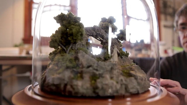 Video Reference N1: Houseplant, Scale model, Plant, Bonsai, Tree, Miniature