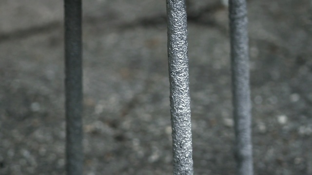 Video Reference N1: Branch, Twig, Tree, Plant stem, Plant, Ice, Winter, Freezing, Person