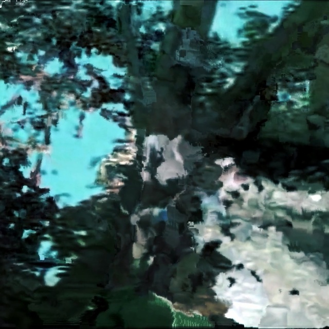 Video Reference N2: water, nature, reflection, tree, leaf, flora, biome, watercourse, plant, old growth forest