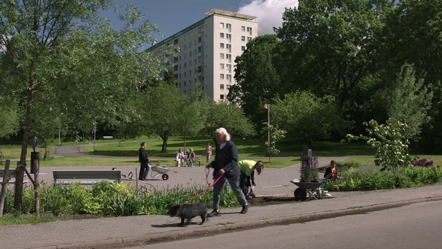 Video Reference N2: Dog walking, Public space, Neighbourhood, Residential area, Asphalt, Grass, Walking, Leash, Pedestrian, Street