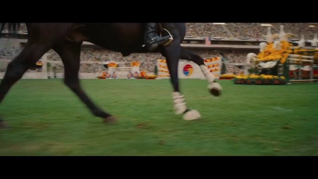 Video Reference N4: Horse, Grass, Mare, Animal sports, Horse tack, Polo, Player, Sports, Ball, Mane