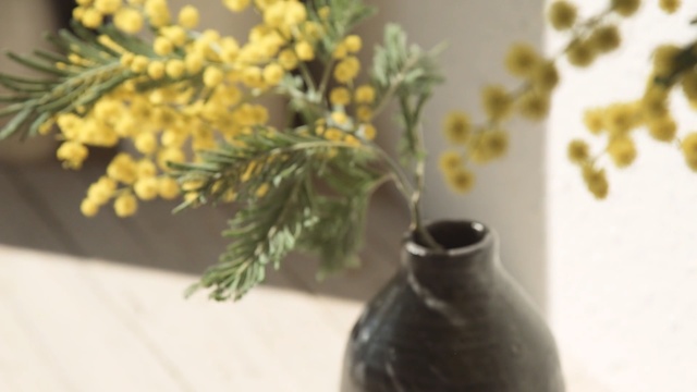 Video Reference N7: vase, flowerpot, still life, still life photography, herb, twig, Person