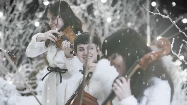 Video Reference N5: snow, winter, tree, fun, event, ice, freezing, girl, branch, Person