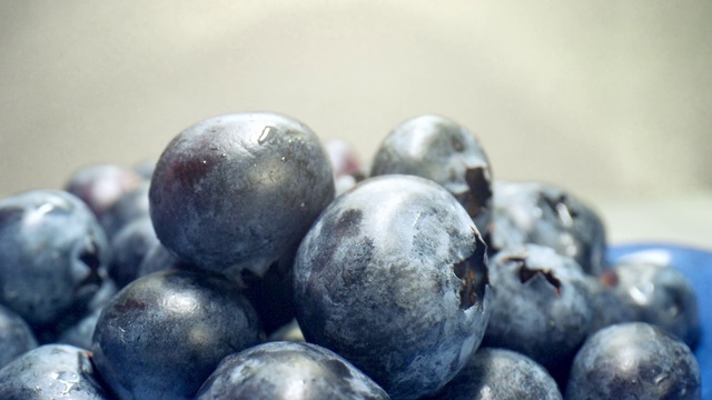 Video Reference N2: Fruit, Blueberry, Superfood, Bilberry, Berry, Plant, Grape, Food, Tree, Still life photography