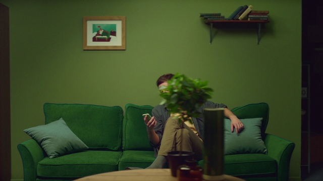 Video Reference N1: Green, Room, Couch, Furniture, Living room, Property, Interior design, Wall, Leaf, Table