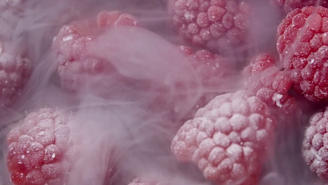 Video Reference N7: Berry, Raspberry, Pink, Fruit, Food, Blackberry, Plant, Loganberry, Frutti di bosco, Rubus, Cake, Snow, Indoor, Covered, Small, Table, Piece, Sitting, Close, Paper, Colored, Plate, Doughnut, Flower, Red, Bear, Smoke, White, Display, Stuffed, Dessert