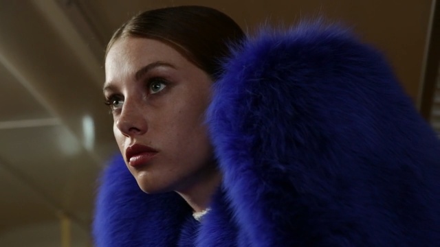 Video Reference N5: Hair, Fur, Face, Fur clothing, Blue, Eyebrow, Cobalt blue, Cheek, Hairstyle, Nose, Person