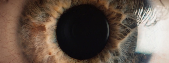 Video Reference N0: eye, fur, nose, close up, organ, iris, eyelash, snout, macro photography, facial hair