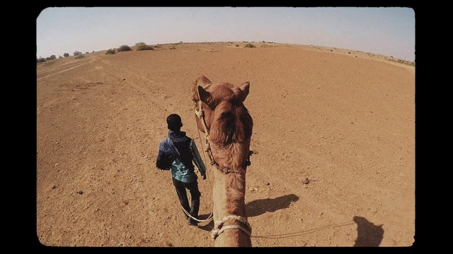Video Reference N1: Camel, Desert, Sand, Arabian camel, Camelid, Natural environment, Sahara, Aeolian landform, Landscape, Erg