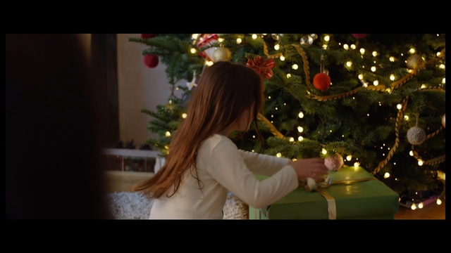 Video Reference N1: christmas, christmas decoration, girl, event, lighting, night, darkness, christmas tree, tree, holiday