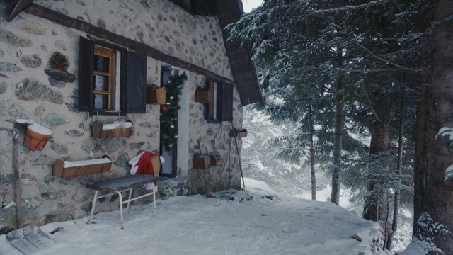Video Reference N2: snow, winter, town, home, house, freezing, tree, geological phenomenon, village, frost