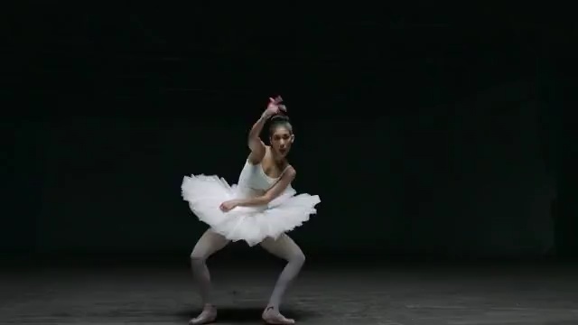 Video Reference N2: performing arts, dancer, ballet, dance, performance, entertainment, choreography, ballet tutu, performance art, event, Person
