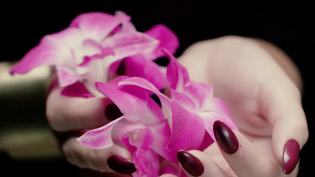 Video Reference N2: flower, pink, flowering plant, nail, flora, plant, petal, close up, finger, magenta